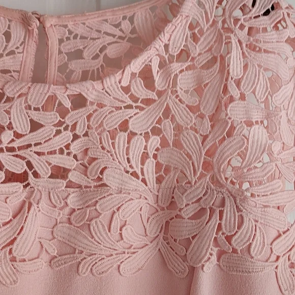 Jessica Howard Pink Sheath Lace Dress Lined Size all sales or final - Picture 3 of 16